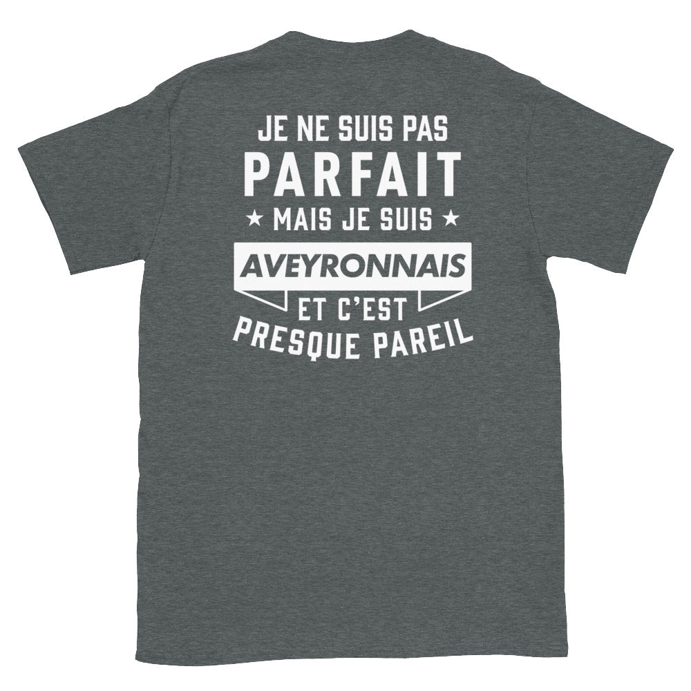 T-shirt Aveyron gris foncé - Je ne suis pas parfait mais Aveyronnais