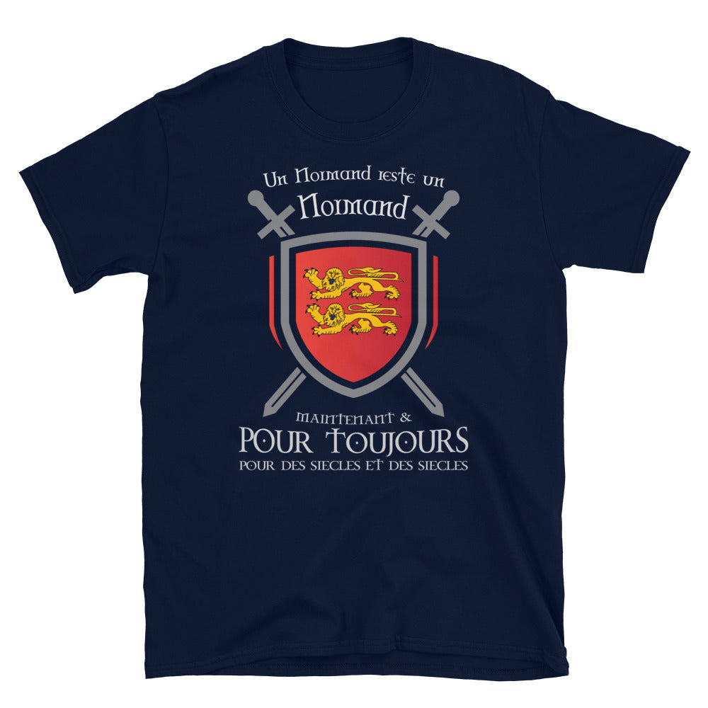 T-shirt Normand gris foncé chiné - Blason et glaives du drapeau