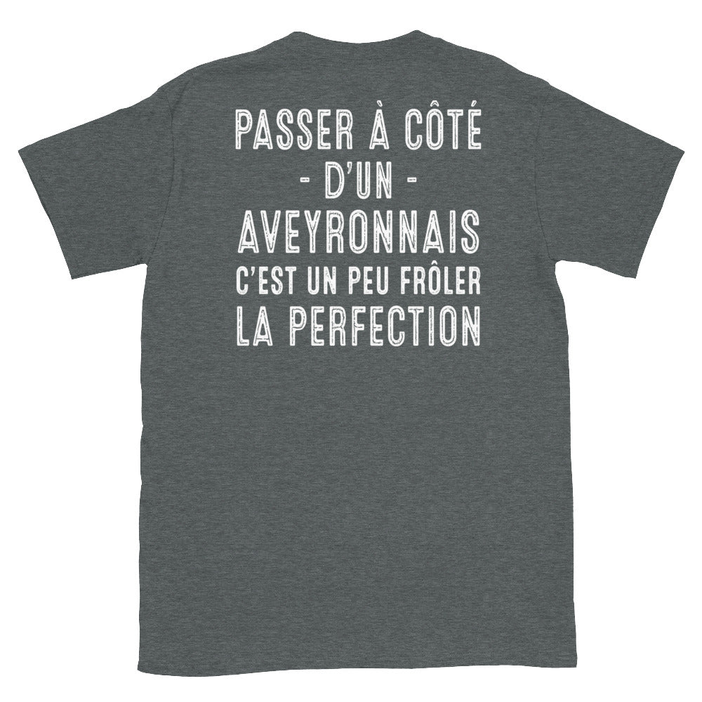 T-shirt Aveyron gris foncé dos - Passer à côté d'un Aveyronnais