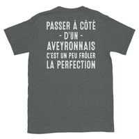Thumbnail for T-shirt Aveyron gris foncé dos - Passer à côté d'un Aveyronnais