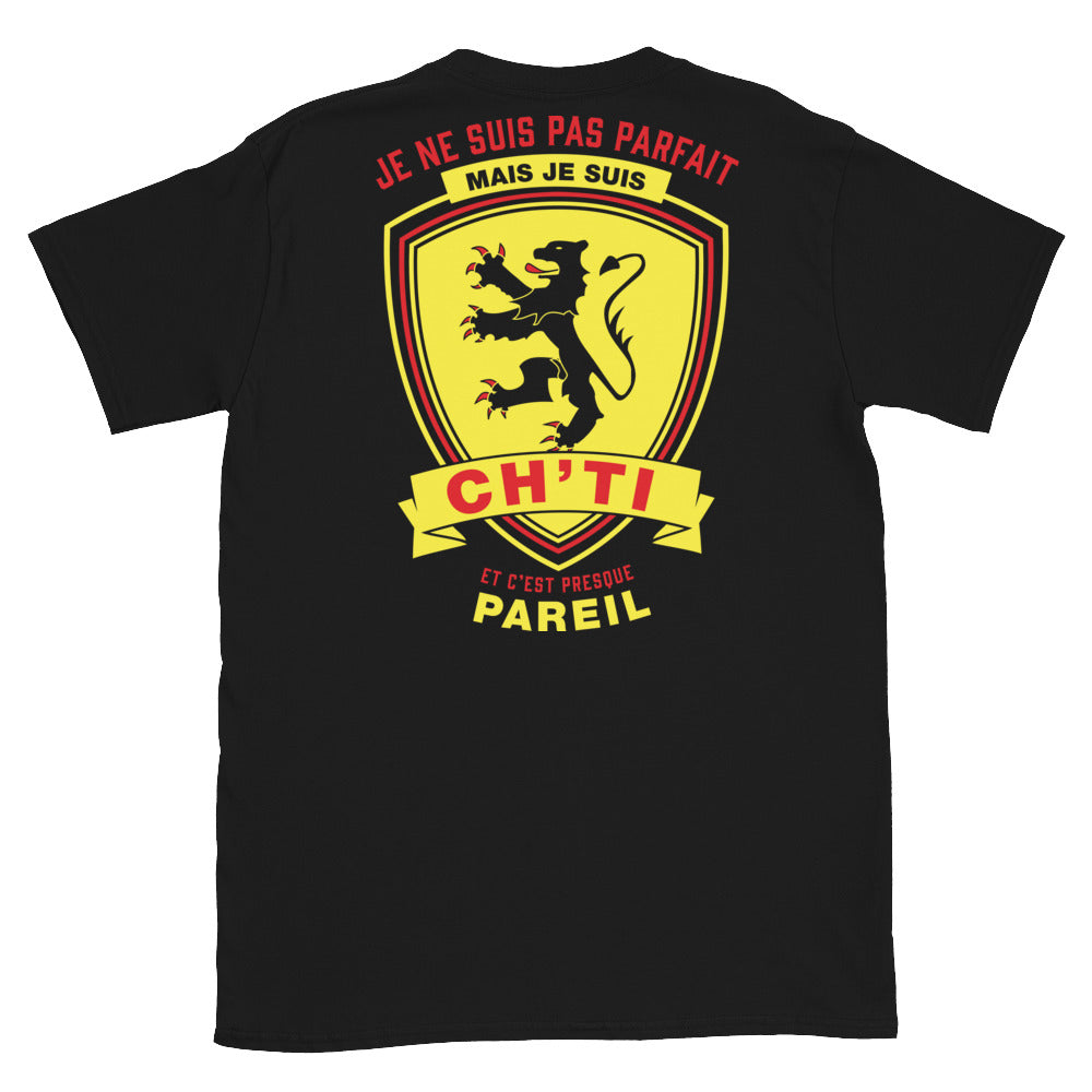 T-shirt Nord-Pas-de-Calais noir - Je ne suis pas parfait mais