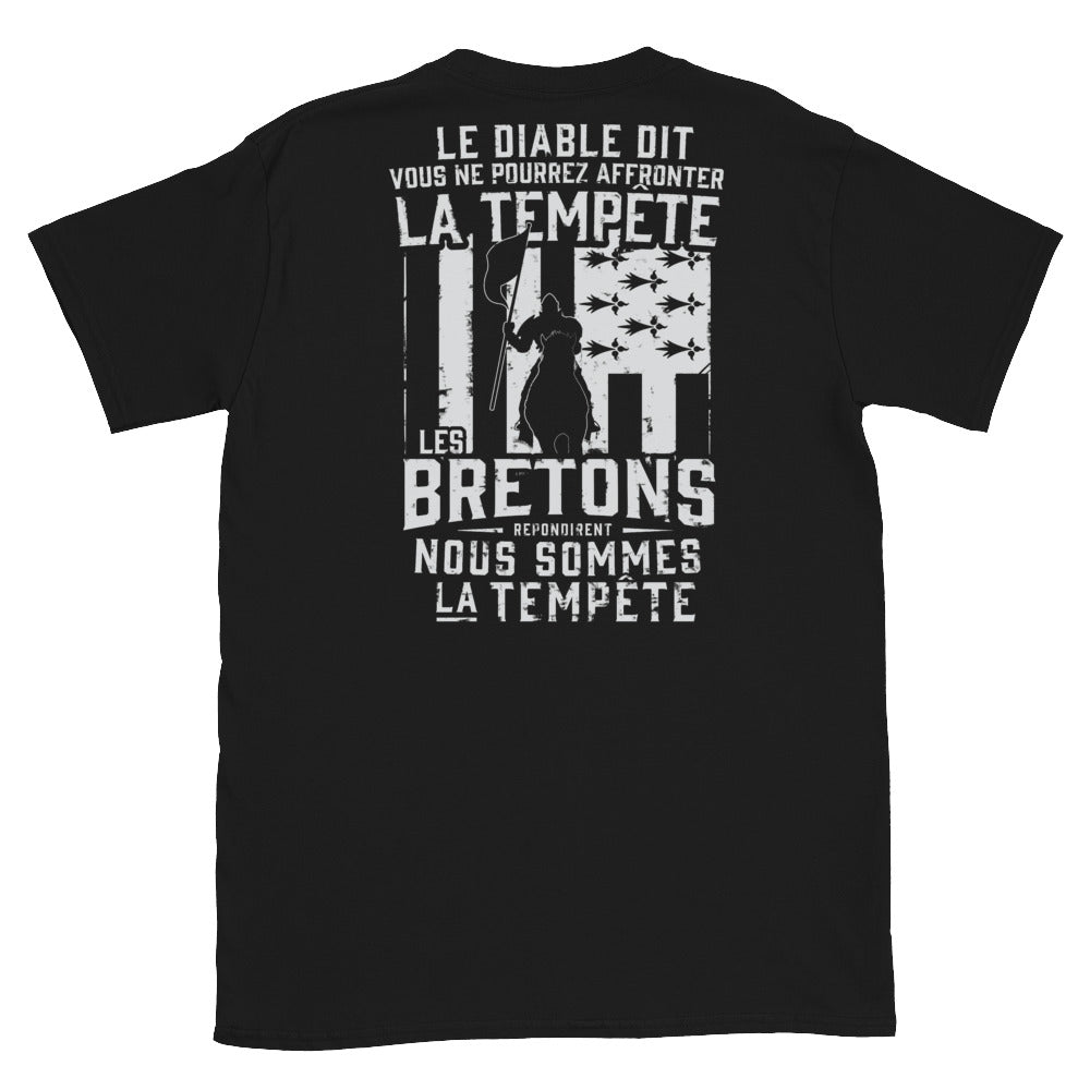 T-shirt Bretagne noir - Les Bretons, nous sommes la tempête