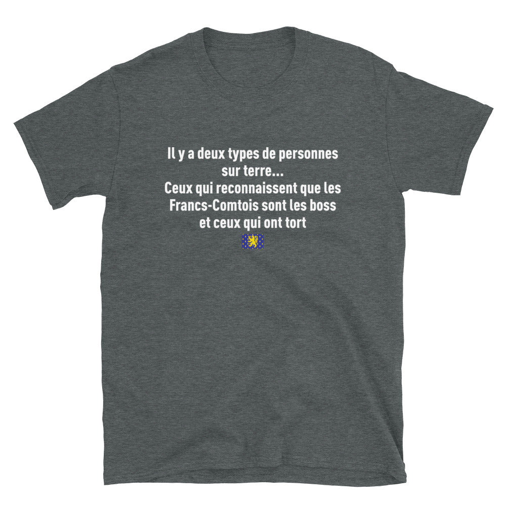 T-shirt Franche-Comté gris foncé chiné dos - Les Francs-Comtois sont les boss