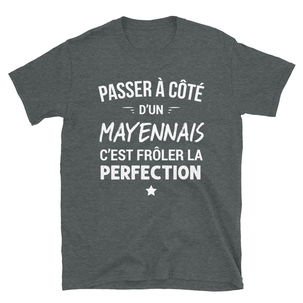 T-shirt Mayennais bleu marine dos - Frôler la perfection