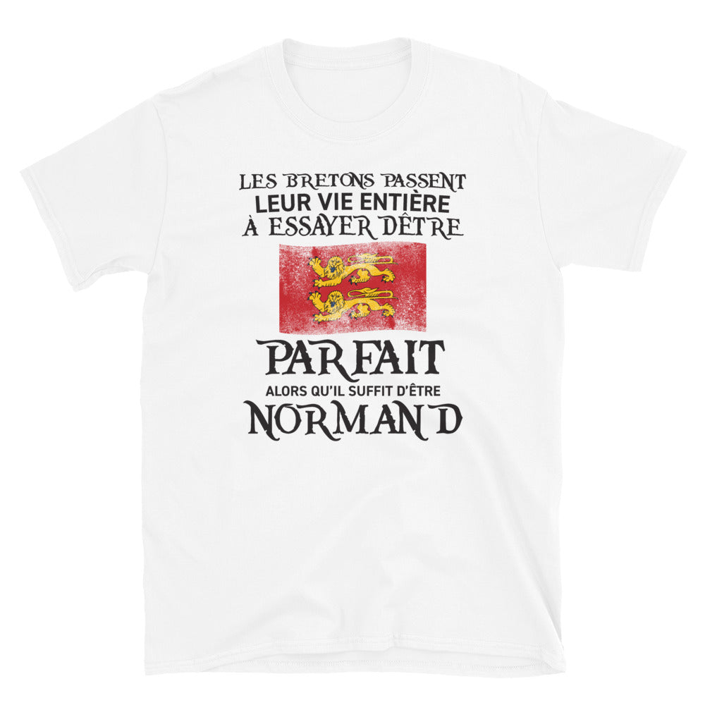 T-shirt Normand blanc - Être parfait, c'est simple