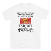 Thumbnail for T-shirt Normand blanc - Être parfait, c'est simple