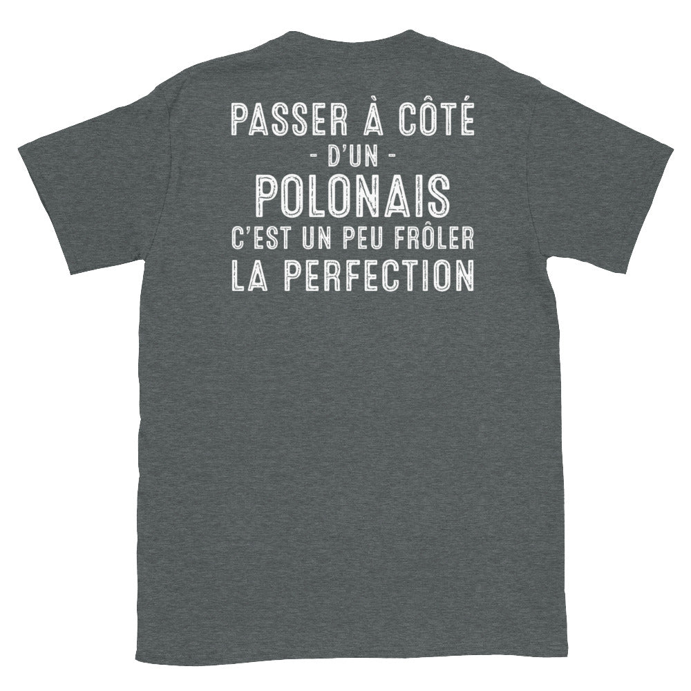 T-shirt Pologne gris foncé - Frôler la perfection avec humour