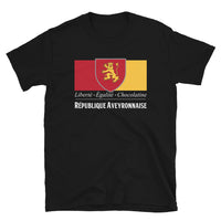Thumbnail for T-shirt Aveyron gris foncé chiné dos - République Aveyronnaise v2