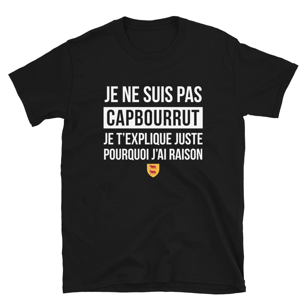 T-shirt Béarn noir - Je ne suis pas capbourrut