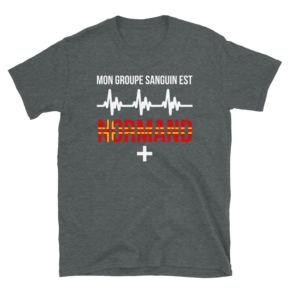 T-shirt Normand gris foncé chiné dos - Mon groupe sanguin : Normand plus