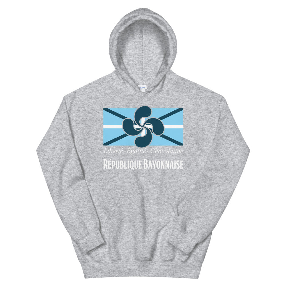 Sweatshirt Bayonne gris sportif - Confort douillet et chic