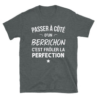 Thumbnail for T-shirt Berrichon bleu marine dos - Frôler la perfection