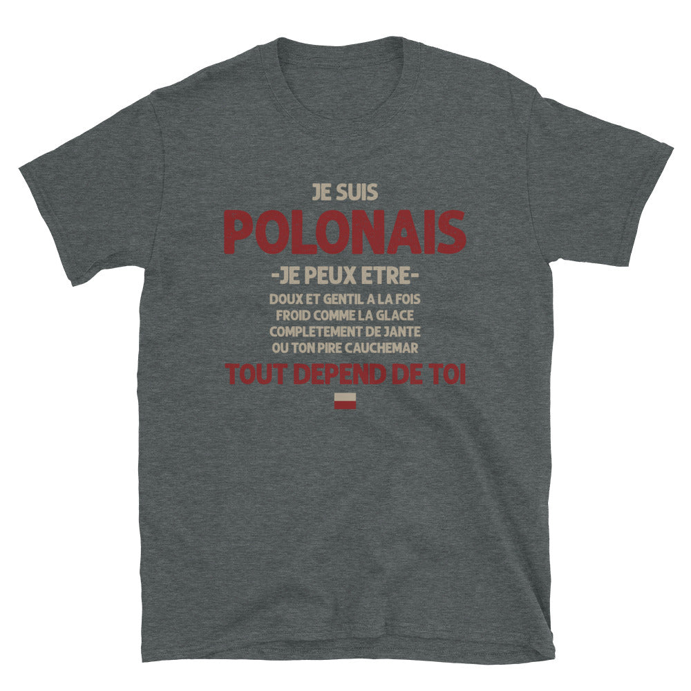 T-shirt Pologne noir - Polonais ça dépend de toi