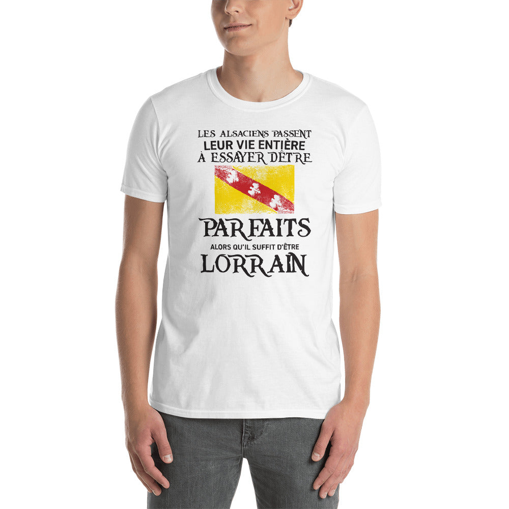 T-shirt Lorrain Parfait gris foncé chiné - Les Alsaciens et leur vie entière