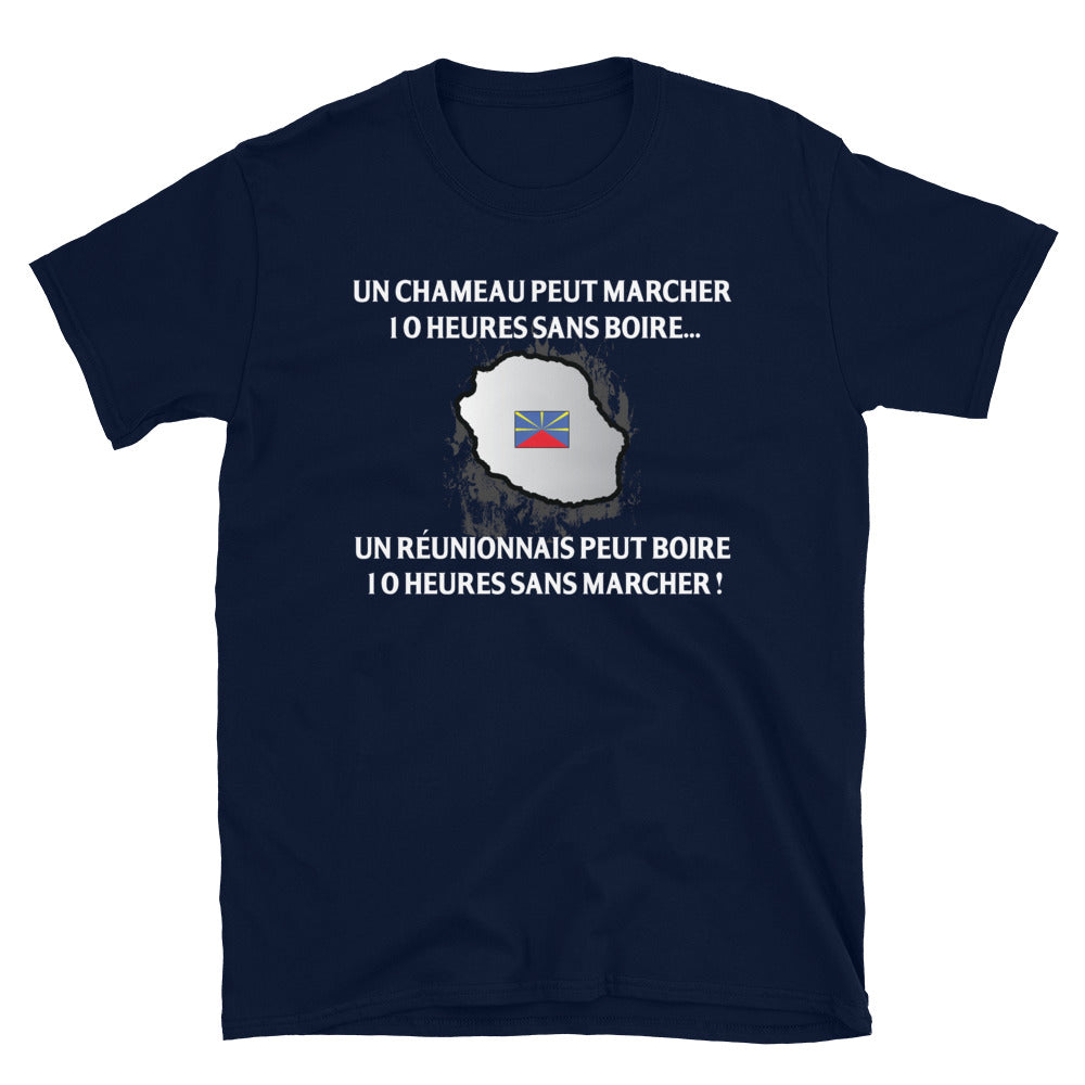 T-shirt Réunionnais gris foncé chiné dos - 10 heures sans marcher