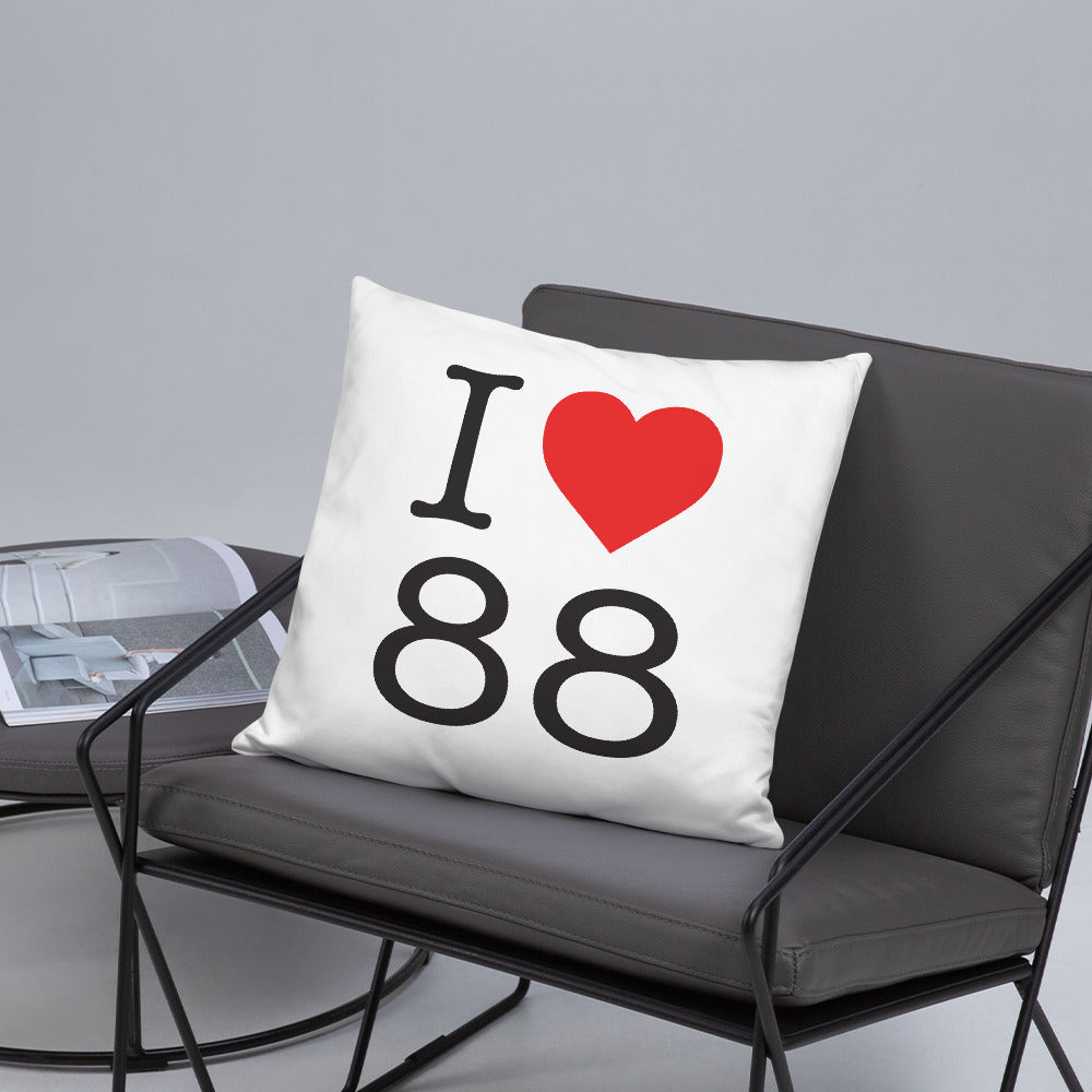 Coussin décoratif Vosges - Style NY - pour des siestes parfaites