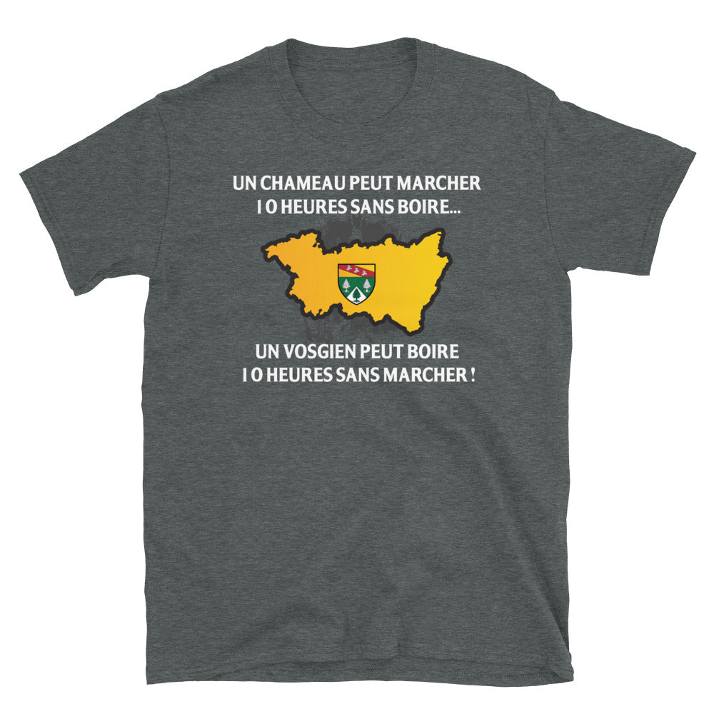 T-shirt Vosgien gris foncé dos - 10h sans marcher avec humour