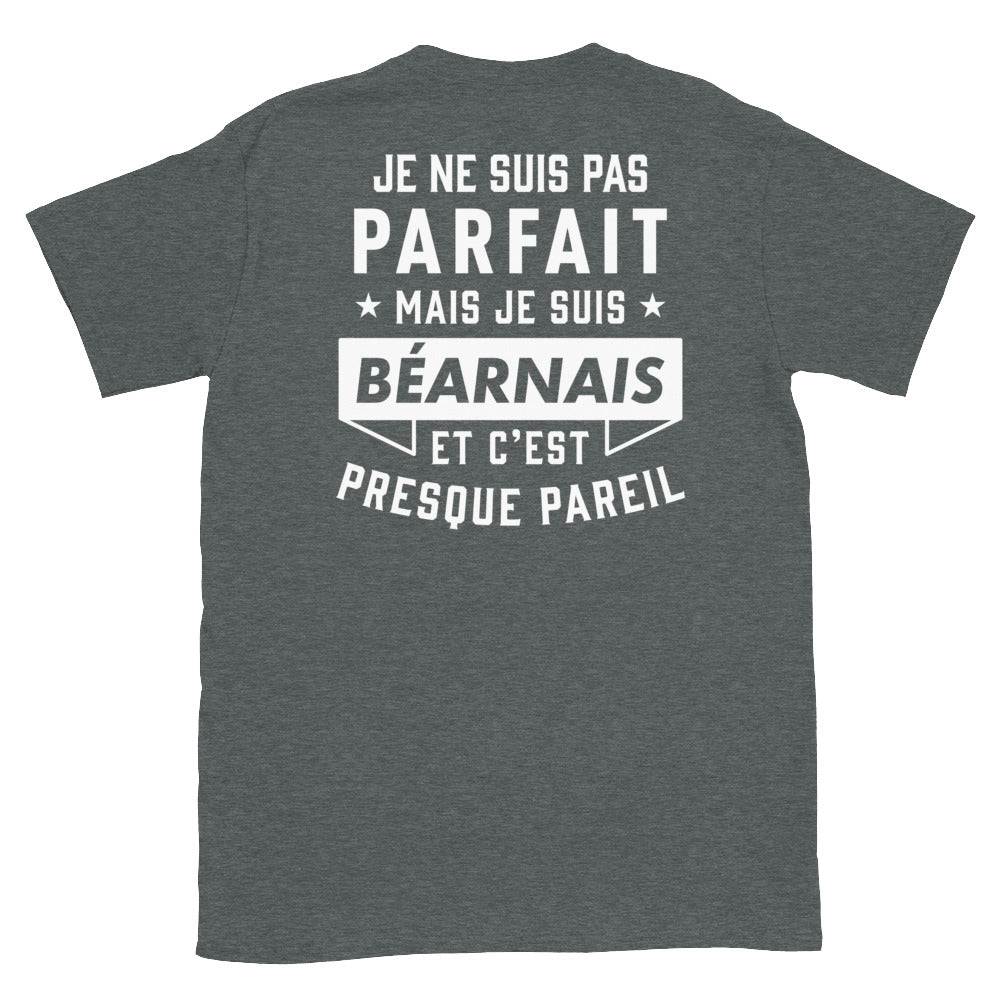 T-shirt Béarn bleu marine - Je ne suis pas parfait mais