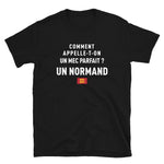 Un mec parfait ? Un Normand - T-shirt Standard - Ici & Là - T-shirts & Souvenirs de chez toi