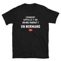 Thumbnail for Un mec parfait ? Un Normand - T-shirt Standard - Ici & Là - T-shirts & Souvenirs de chez toi