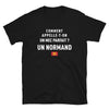 T-shirt Normand noir - Un mec parfait ?