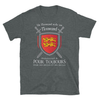 Thumbnail for T-shirt Normand gris foncé chiné dos - Blason et glaives du drapeau