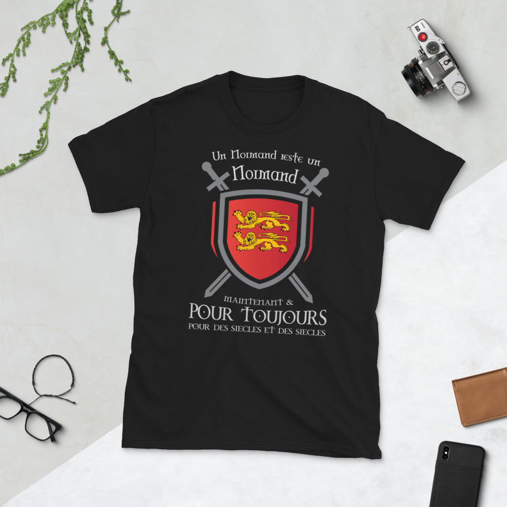 T-shirt Normand bleu marine dos - Blason et glaives du drapeau