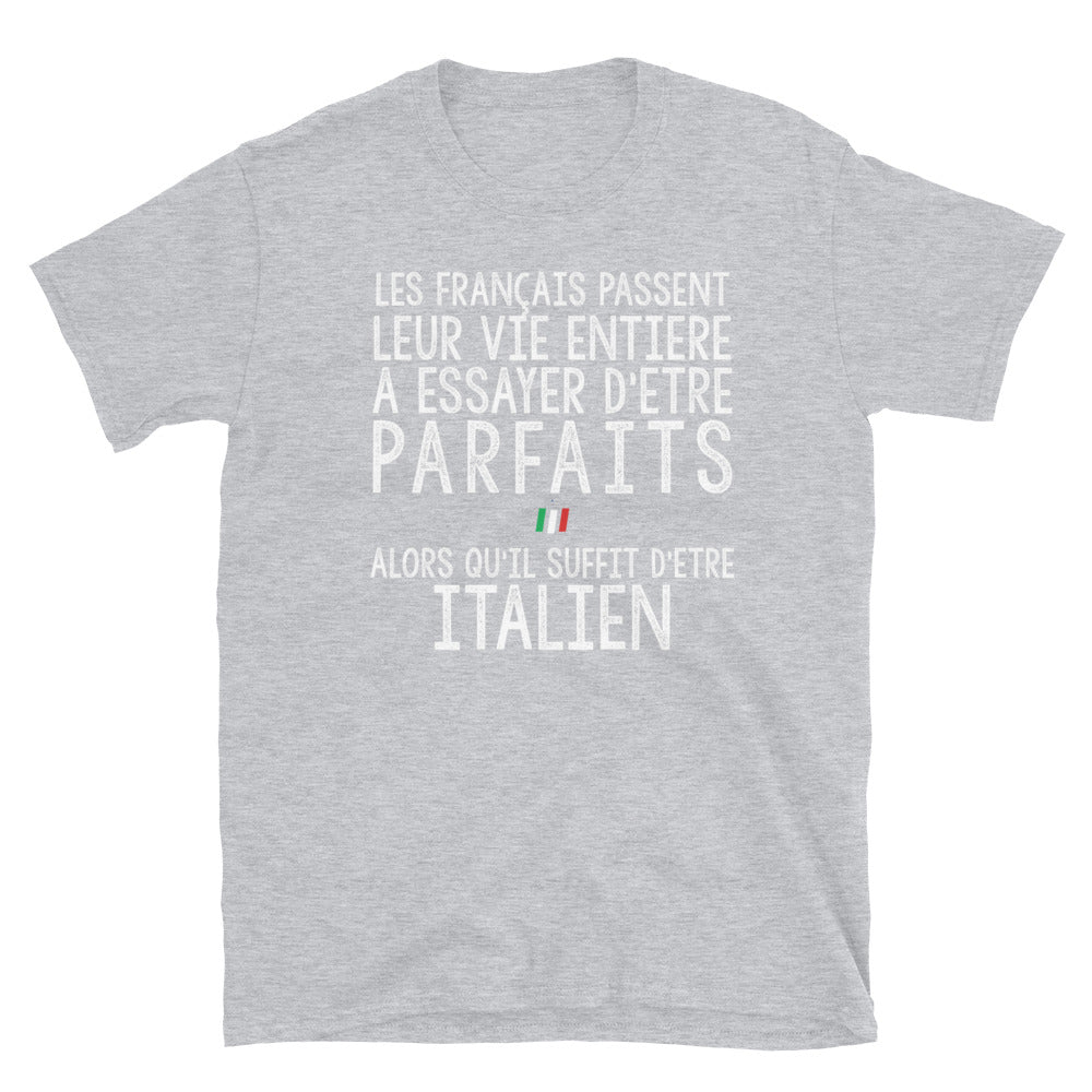 T-shirt italien gris - Les Français passent leur vie entière - porté homme