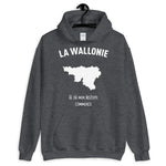 Wallonie là où mon histoire commence - Sweatshirt à capuche - Ici & Là - T-shirts & Souvenirs de chez toi
