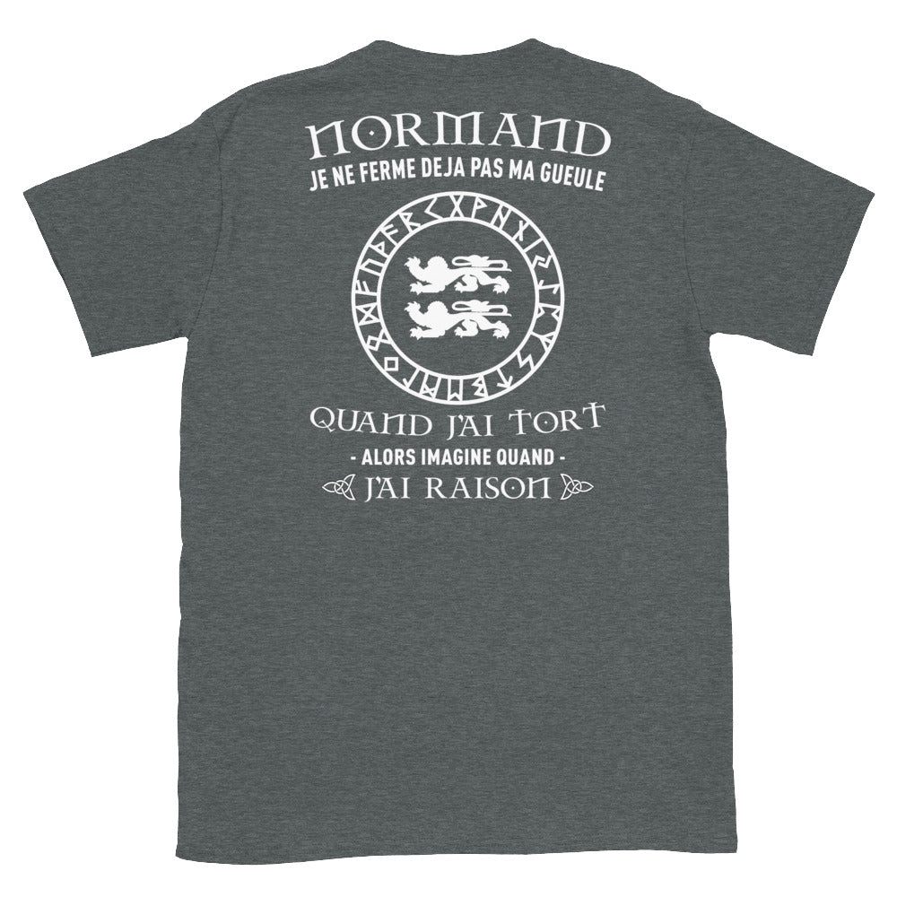 T-shirt Normand gris foncé chiné - Je ne ferme pas ma gueule quand j'ai tort
