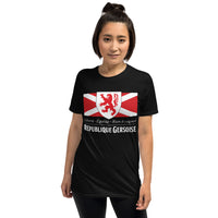 Thumbnail for T-shirt Gers gris foncé chiné - Drapeau de l'union gasconne