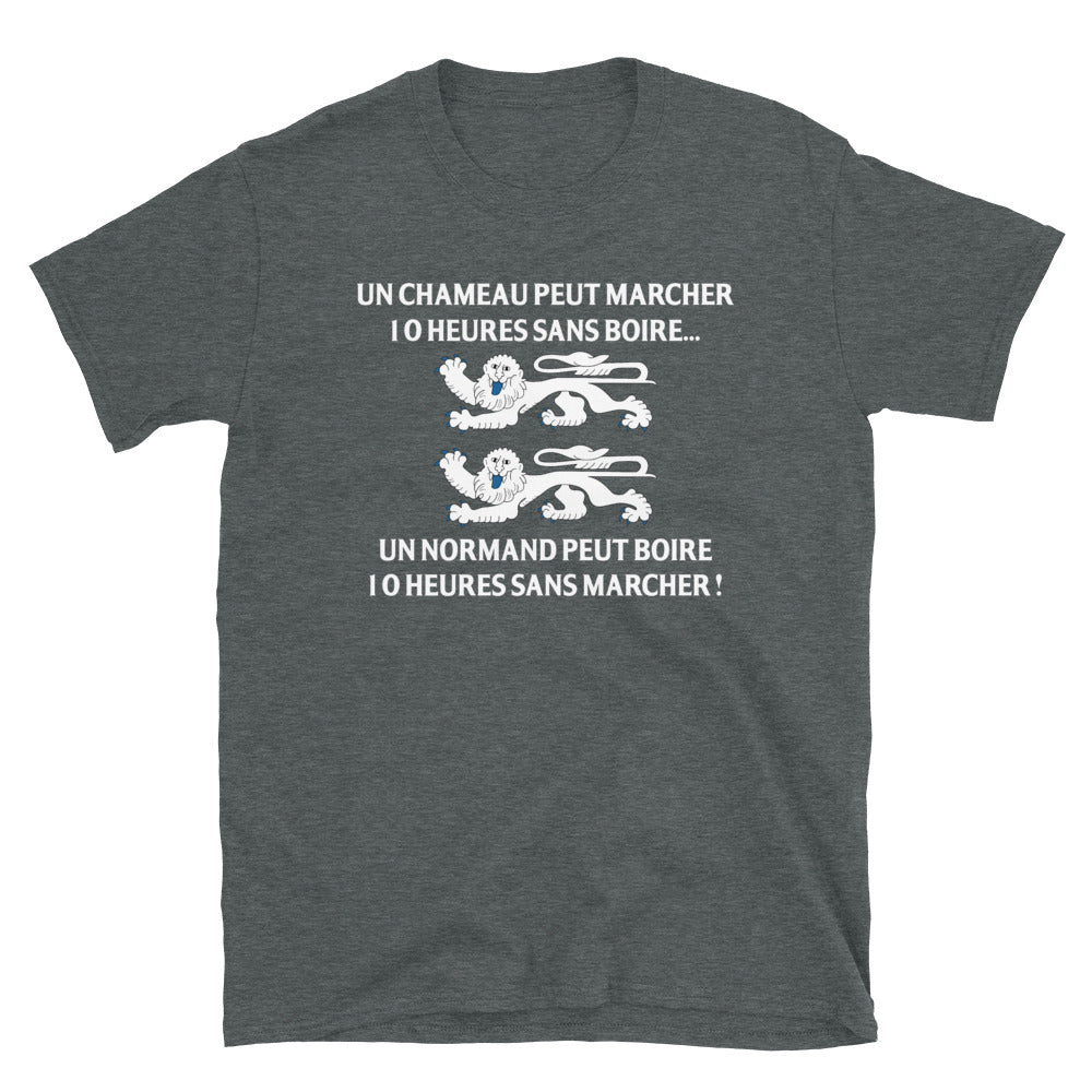 T-shirt Normand gris foncé chiné - Un normand peut boire 10 h sans marcher