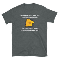 Thumbnail for T-shirt Landais gris foncé chiné dos - 10 heures sans marcher