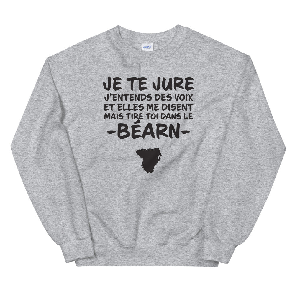 Sweatshirt Béarn gris sport dos - Je te jure avec humour
