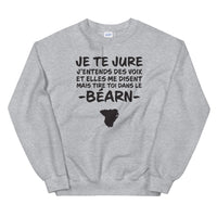 Thumbnail for Sweatshirt Béarn gris sport dos - Je te jure avec humour