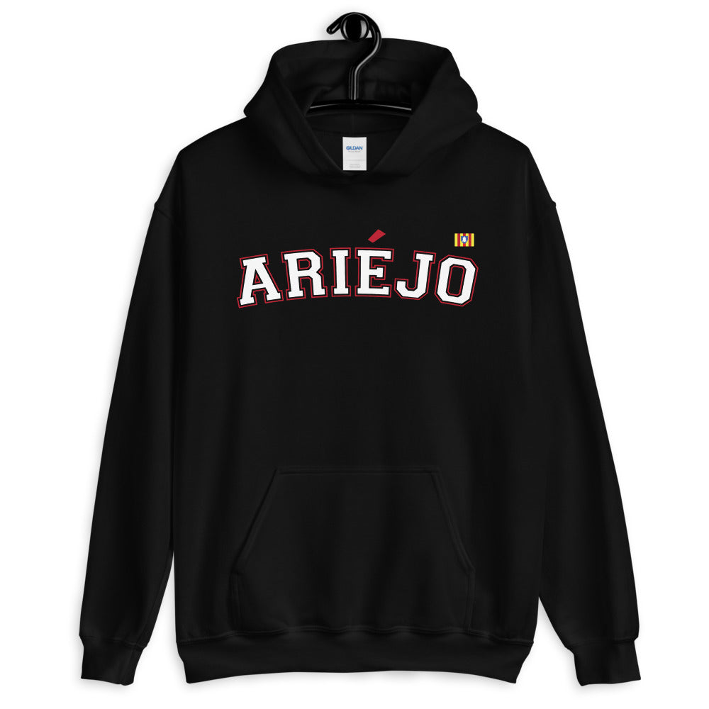 Ariéjo - Ariège - sweatshirt à capuche blason ariégeois - Ici & Là - T-shirts & Souvenirs de chez toi