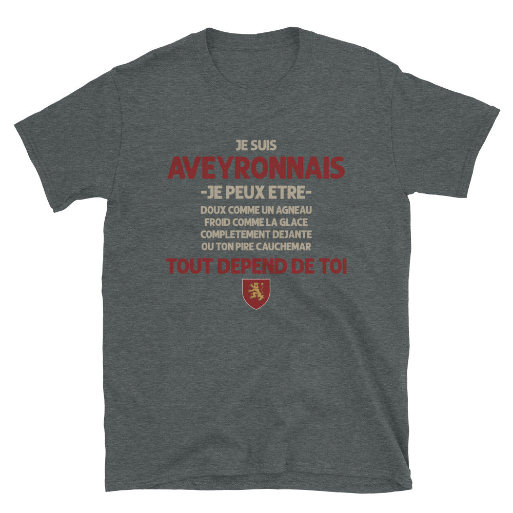 Aveyronnais tout depend de toi - T-shirt Standard - Ici & Là - T-shirts & Souvenirs de chez toi