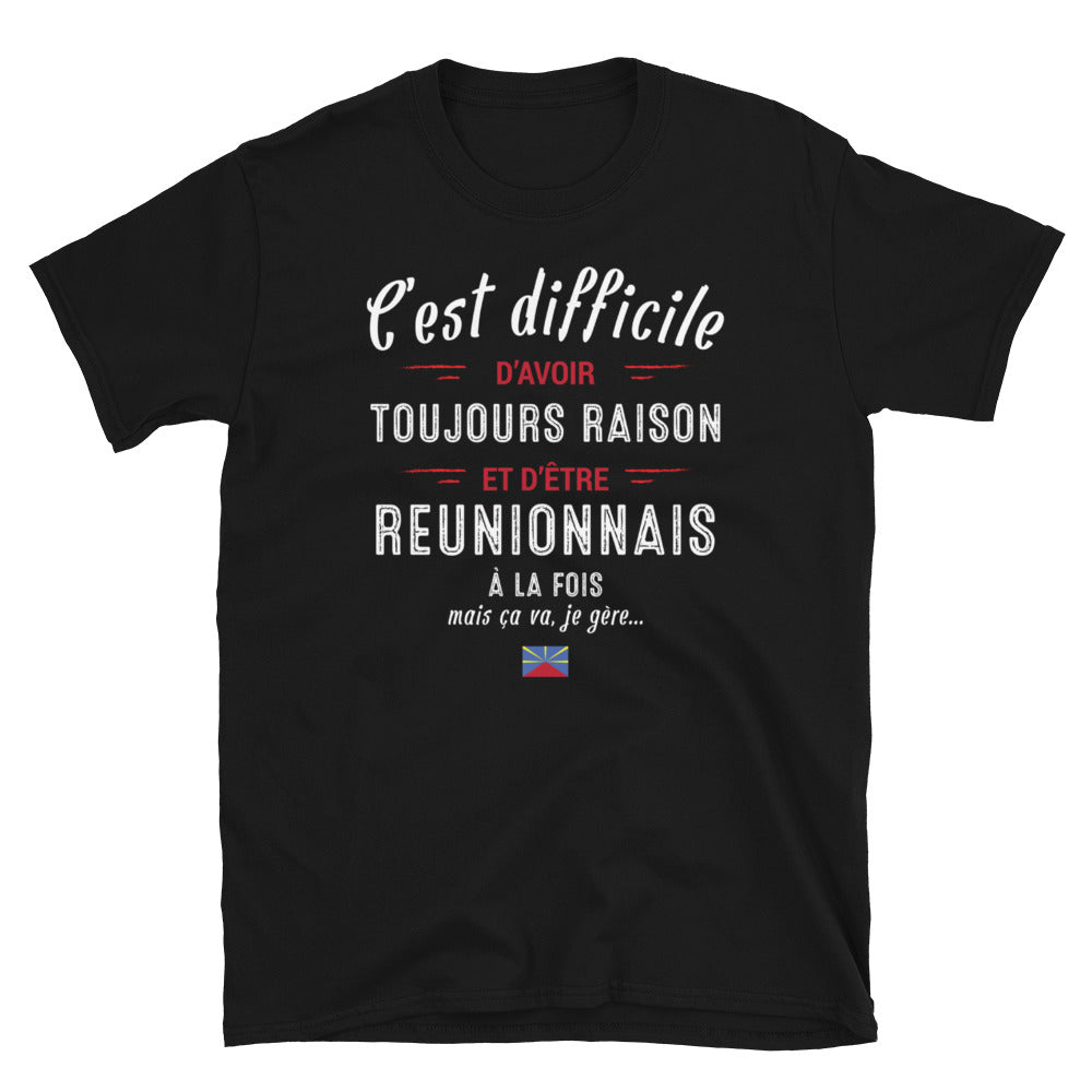 T-shirt Réunionnais gris foncé dos - C'est difficile d'avoir toujours raison