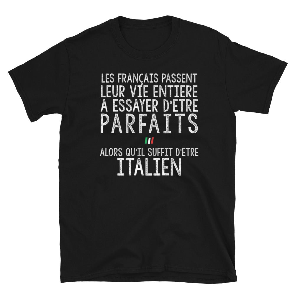 T-shirt italien gris - Les Français passent leur vie entière - vue dos