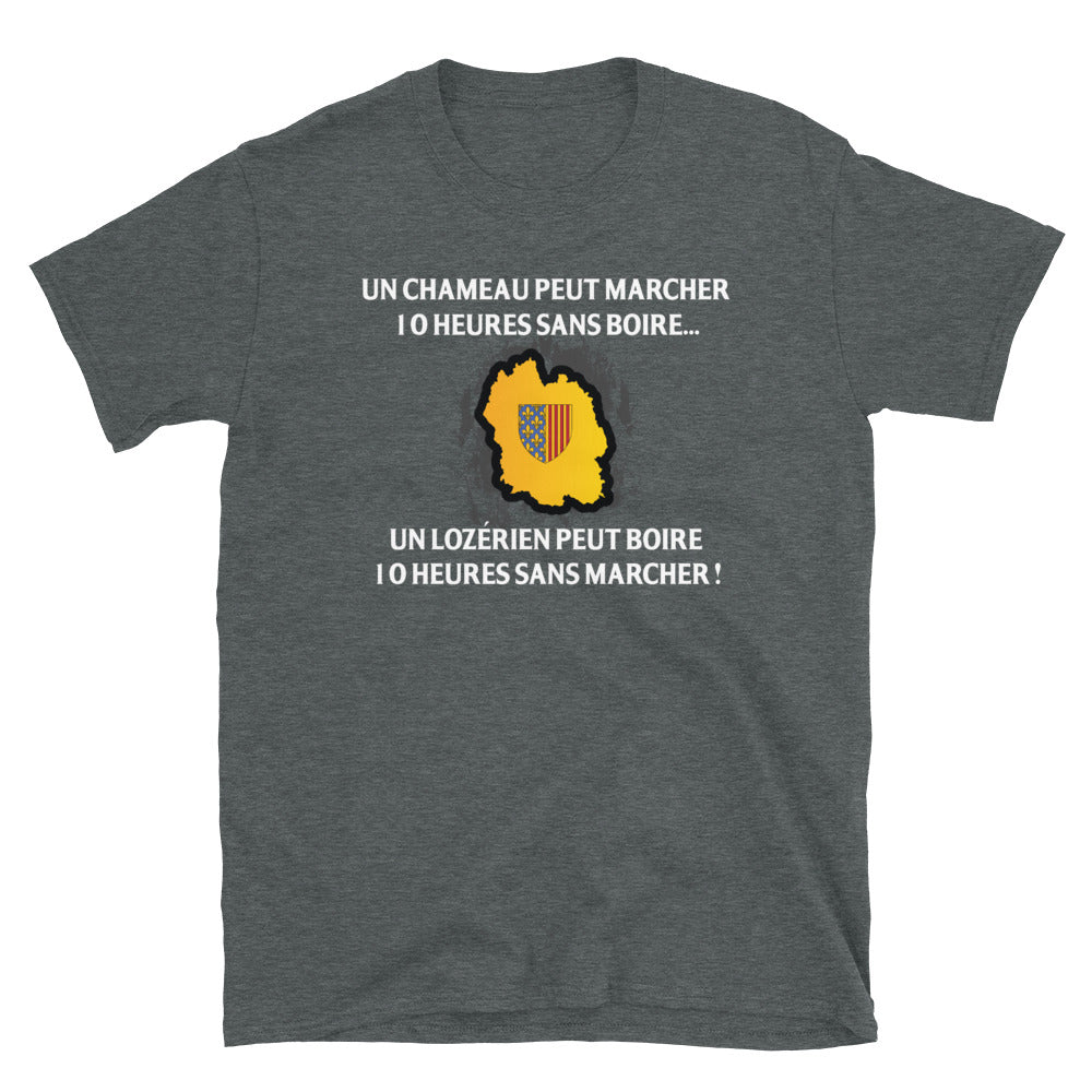 T-shirt Lozèrien gris foncé chiné dos - 10 heures sans marcher