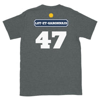 Thumbnail for T-shirt Lot-et-Garonnais gris sport - Pastis 47 avec humour local