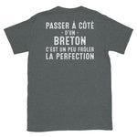 Breton frôler la perfection - T-shirt Standard - Ici & Là - T-shirts & Souvenirs de chez toi