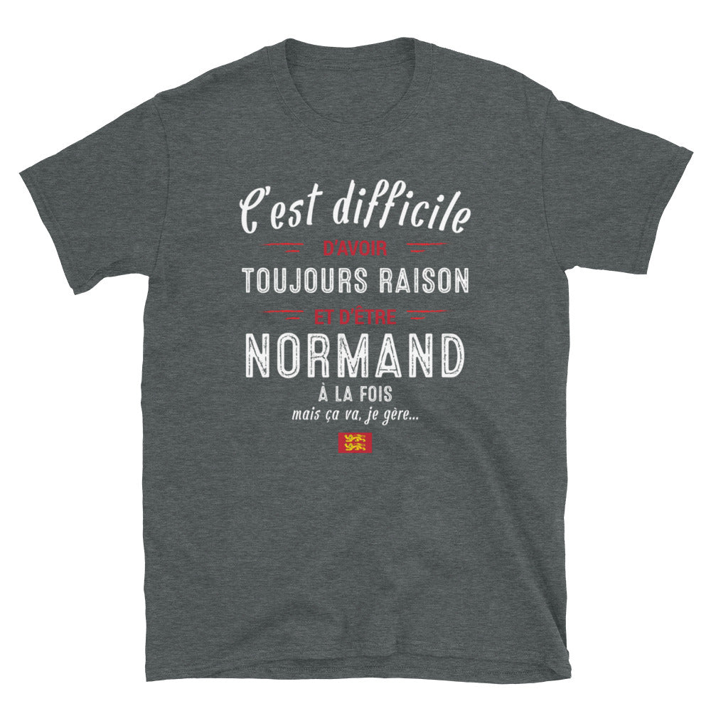 T-shirt Normand noir - C'est difficile d'avoir toujours raison