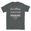 T-shirt Normand noir - C'est difficile d'avoir toujours raison