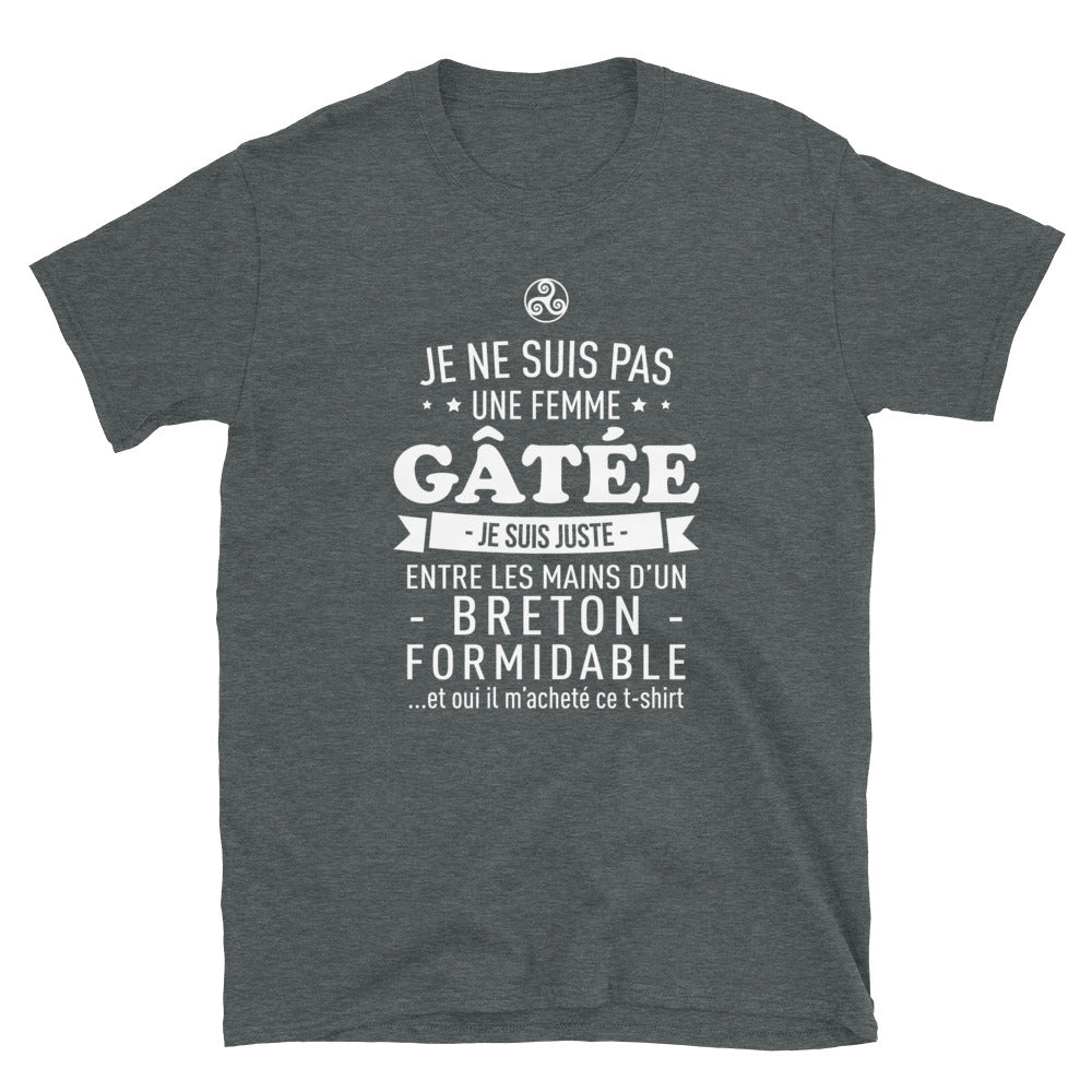 T-shirt Bretagne gris foncé chiné dos - Je suis entre les mains d'un Breton