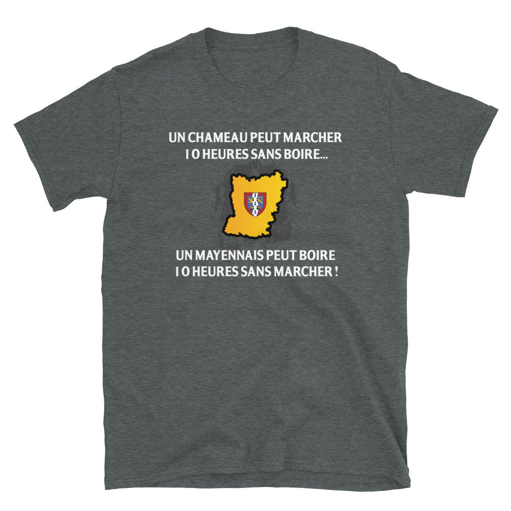 T-shirt Mayennais gris foncé chiné dos - 10 heures sans marcher