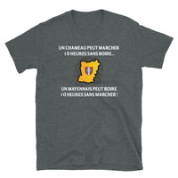 Thumbnail for T-shirt Mayennais gris foncé chiné dos - 10 heures sans marcher