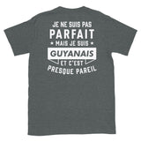parfait-guyanais  - Imprimé DOS - T-shirt Standard - Ici & Là - T-shirts & Souvenirs de chez toi