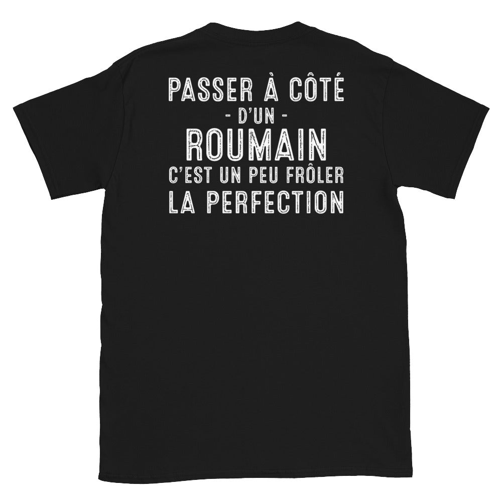 T-shirt Roumain noir - Frôler la perfection avec humour