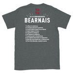 Béarnais - 10 commandements - T-shirt Standard v - Ici & Là - T-shirts & Souvenirs de chez toi